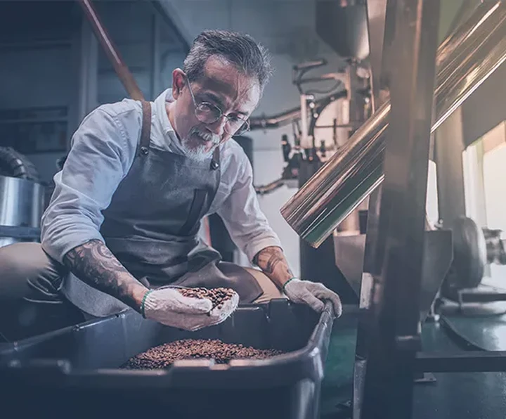 Man checking coffee beans for roasting